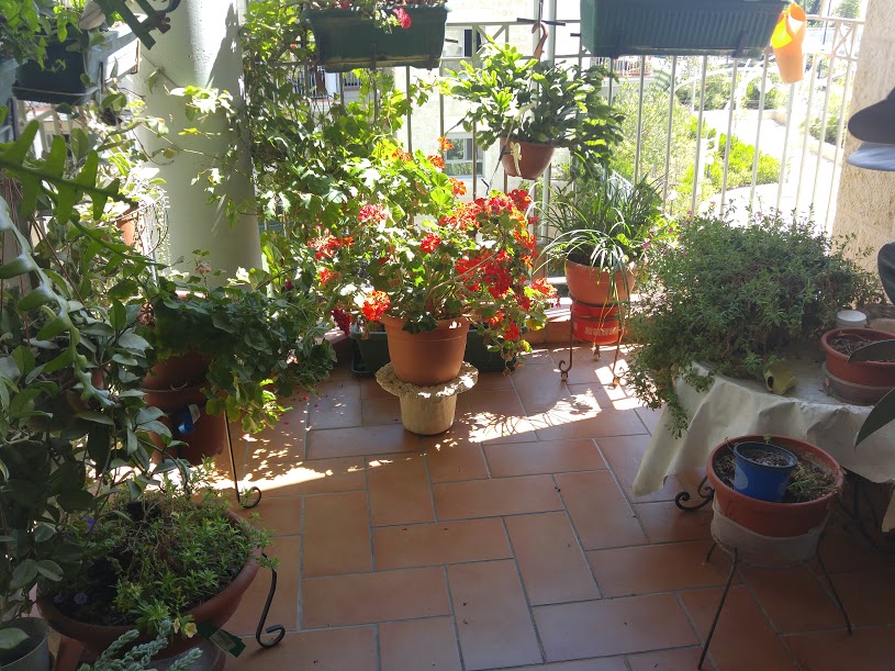 הדירות באחוזת בית הכרם, דיור מוגן בירושלים