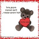 העלאת תמונה