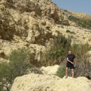 העלאת תמונה