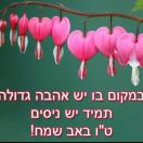 העלאת תמונה