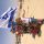 התמונה של תגונה