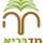התמונה של תגונה