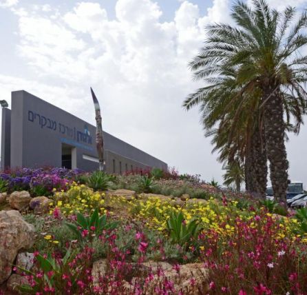 סיורים במרכז המבקרים של איגודן בשפד
