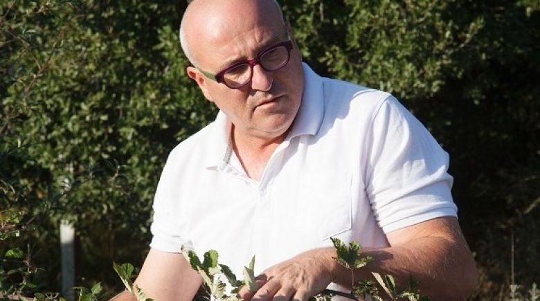 מתכונים לאפייה מהירה של ארז קומורובסקי