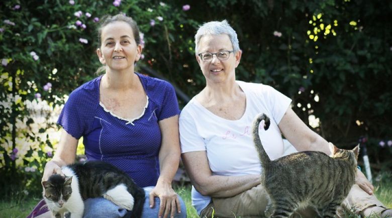 התאהבו זו בזו בעקבות האהבה לחתולים