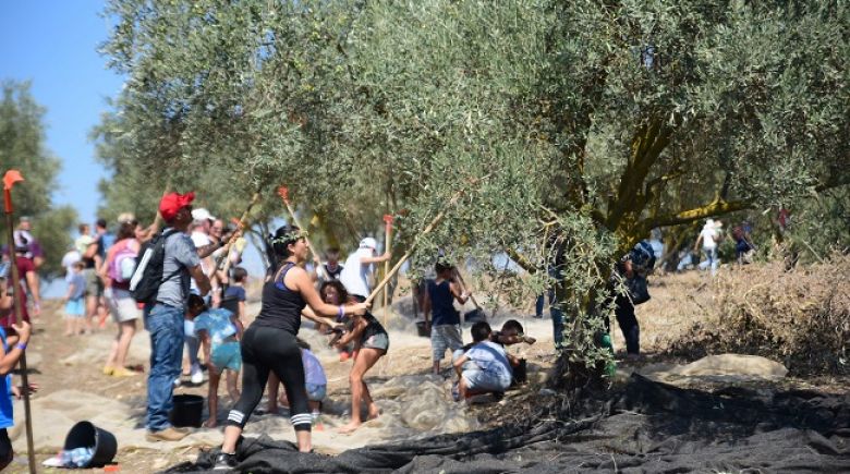 חול המועד עם הנכדים: איפה מבלים?