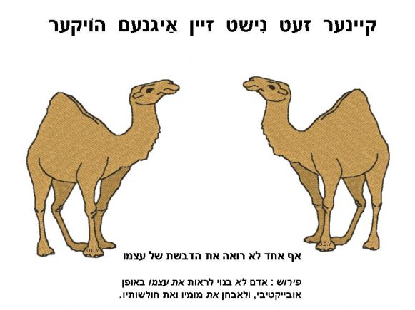 אף אחד לא רואה את הדבשת של עצמו