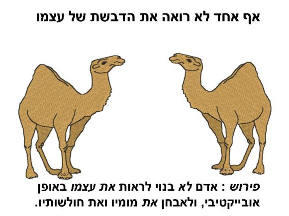 אף אחד לא רואה את הדבשת של עצמו