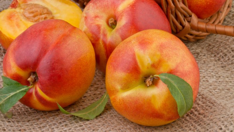 חלוצת הקיץ: נקטרינה עסיסית