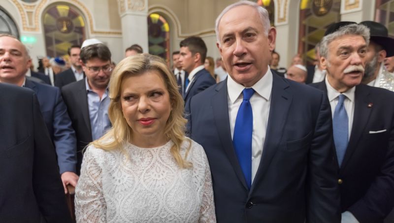 פרשת ביבי, שרה, הכלבה והחקירה