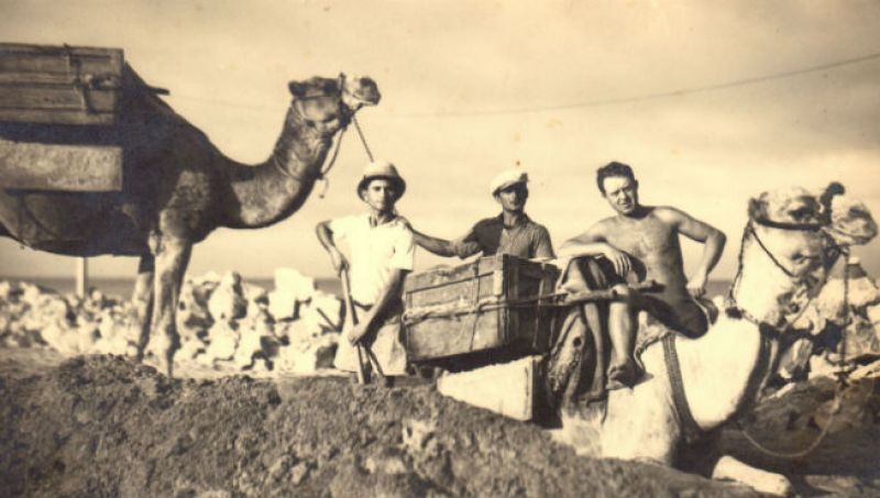 מצדיעים לגמלאי סולל בונה
