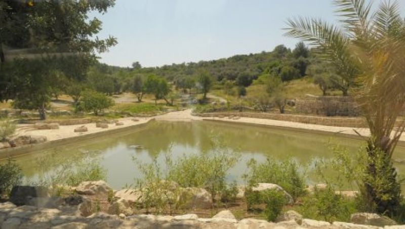 בעקבות שירים ולוחמים