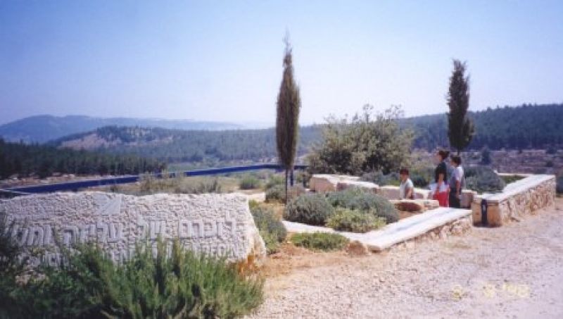 כלייזמרים בצפת, פרפרים באגמון