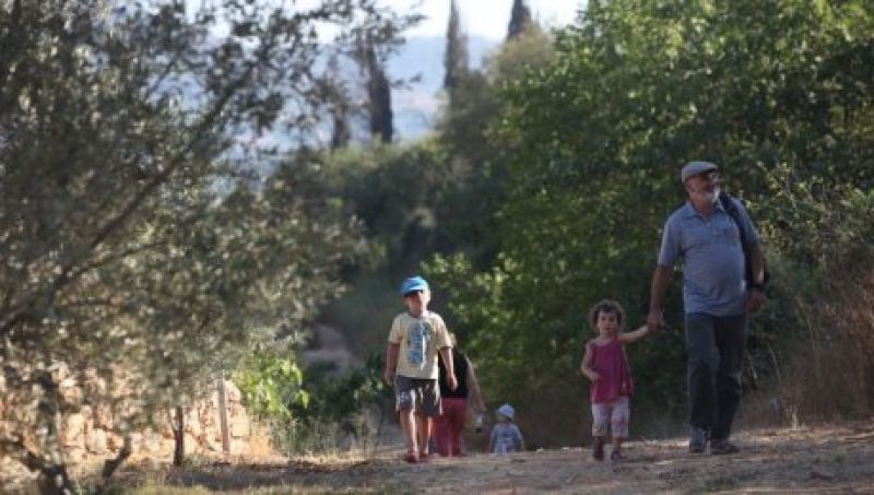 מפריחת הרקפות עד מבשרי הציונות