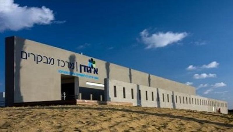 החיים שמתחת לחיים