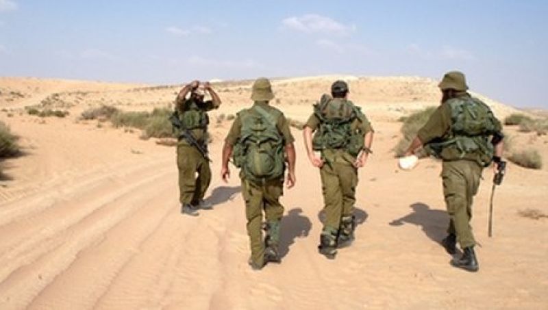 רייכר מתרגז: הניחו לצבא