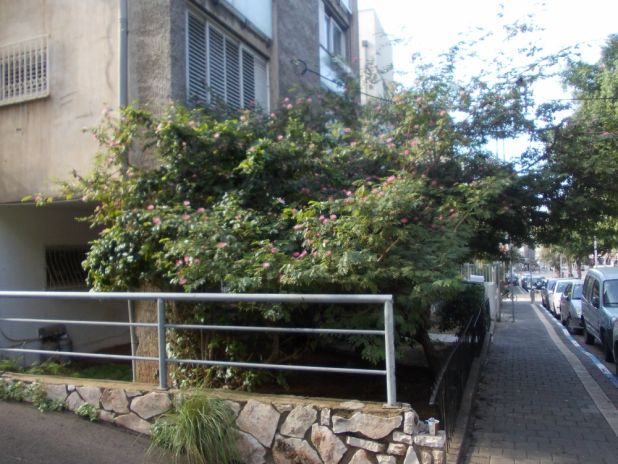 לצערי אחרנו את המועד לרעיונות חדשים