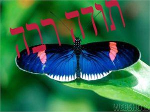 הפרפר