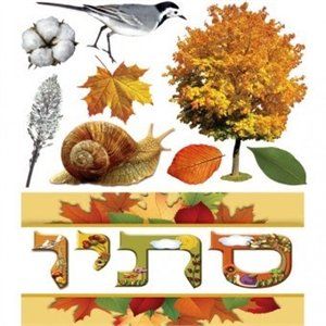 סתיו באויר