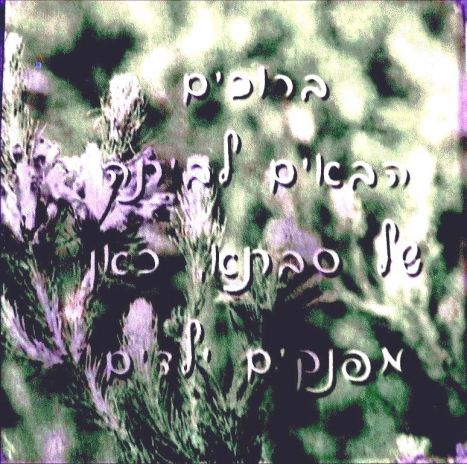 סבא וסבתא - ספור מהחיים -