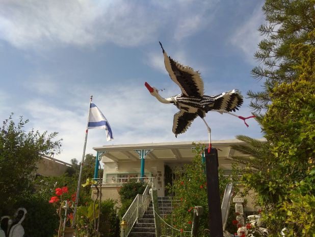 ימים יגידו.