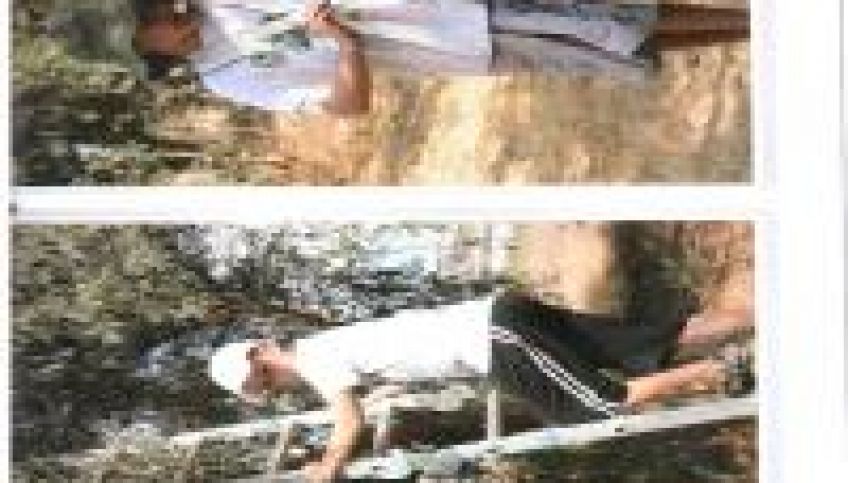 שמן זית