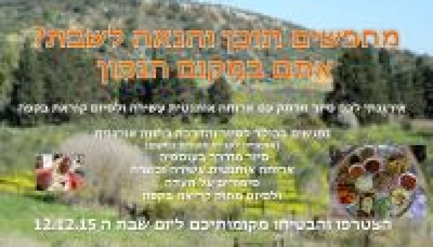 סיור לעוספיה ביום שבת ה 12.12.15