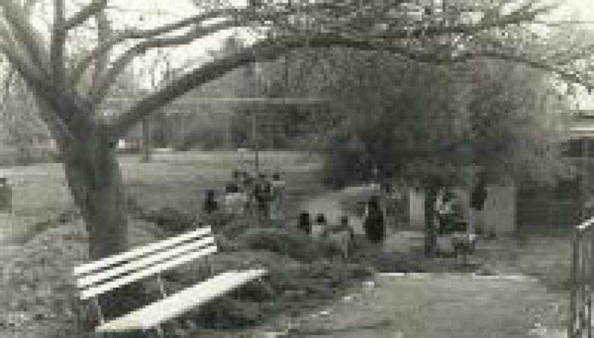 ערב חברתי מרגש של שיתוף זיכרונות