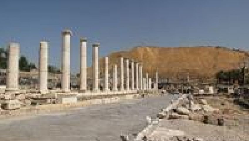 אוהבי לכת עם גיל ברנר