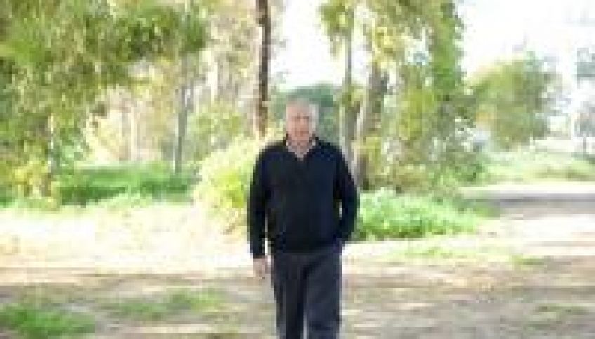 מחפש שותפה