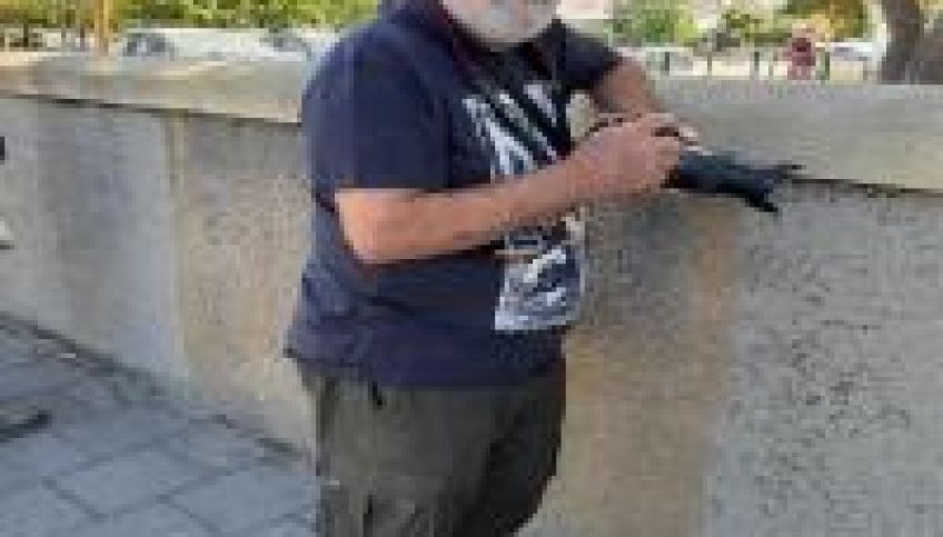 איסלנד