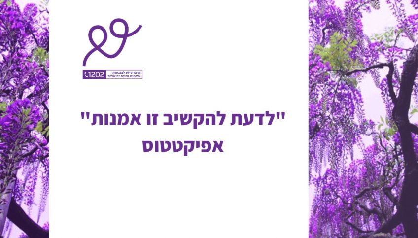 התנדבות במרכז הסיוע בירושלים