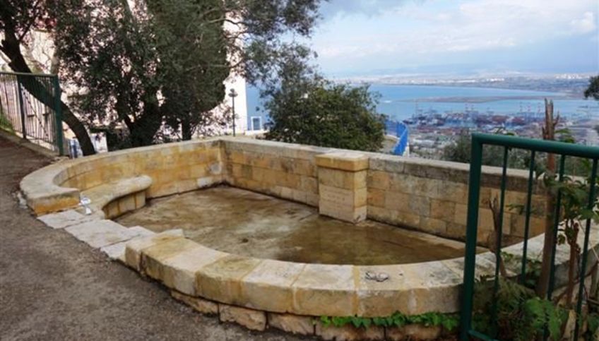 בכרמלהיים כבר ביקרתם? טיול עם נעם תמיר